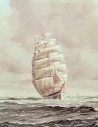 Englischer Wollklipper